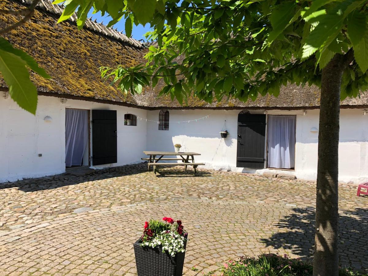 Stragarden Nyord Bed and Breakfast Εξωτερικό φωτογραφία